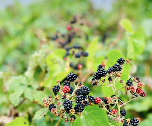 5 Tipps die dir helfen, dich auch dann gesund zu ernähren, wenn du unterwegs bist