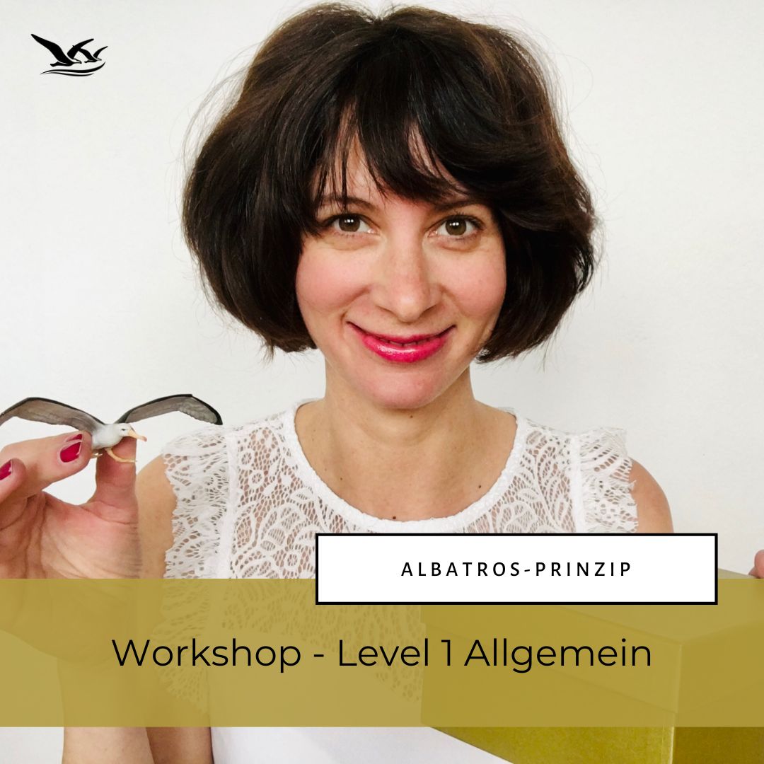 Albatros-Prinzip Workshop Level 1