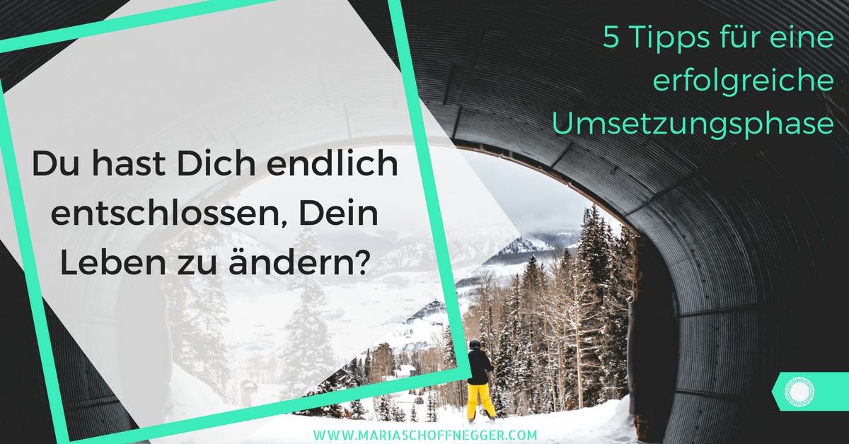 Du Hast Dich Endlich Entschlossen Dein Leben Zu Andern 5 Tipps Fur Eine Erfolgreiche Umsetzungsphase Maria Schoffnegger Albatros Prinzip